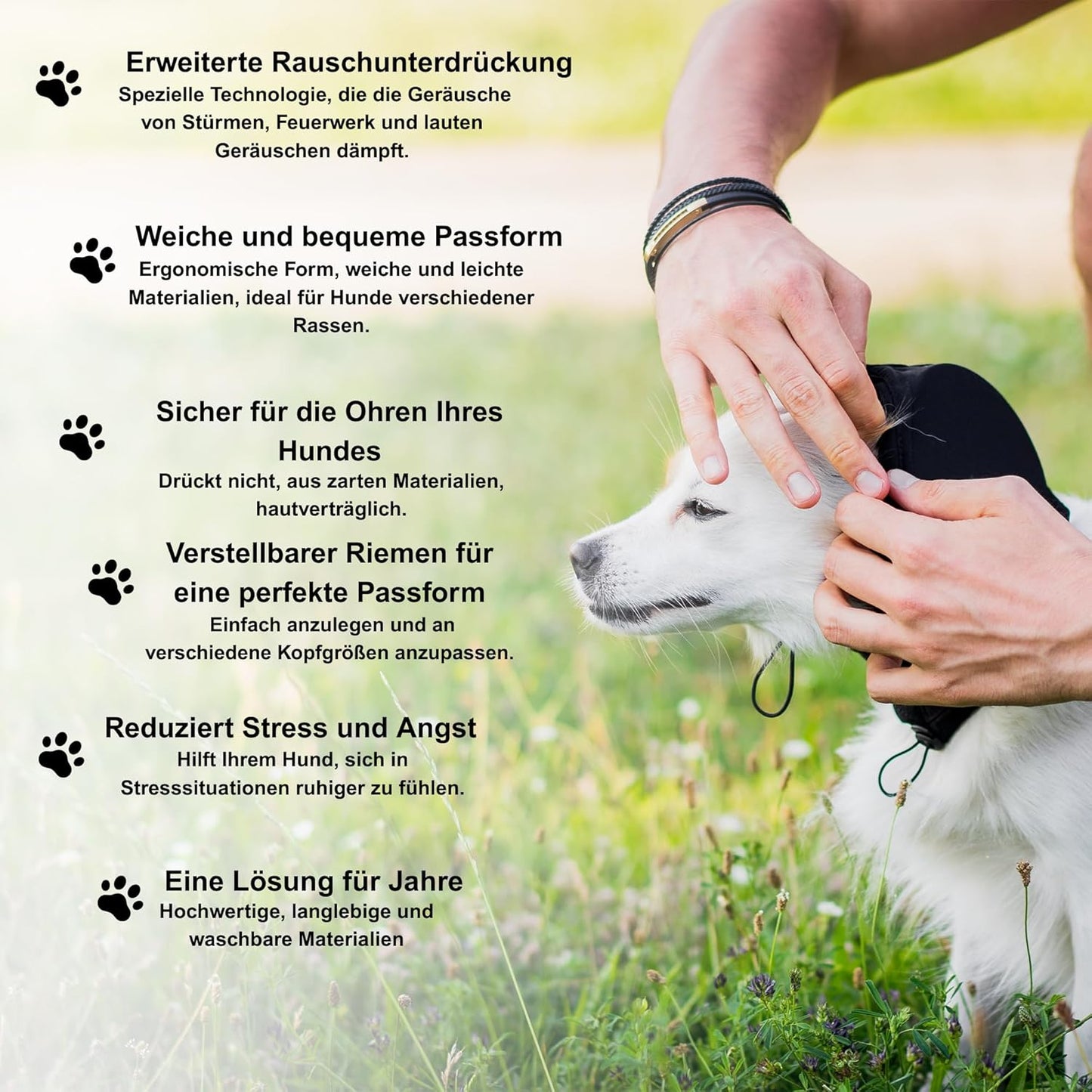 Leise Pfote Ohrenschützer